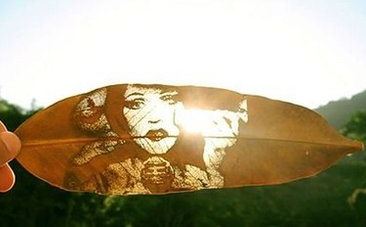 激光雕刻樹葉 給你不一樣的視覺體驗